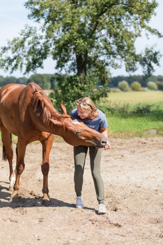 paardencoaching__AKF_zakelijke_fotografie_-2662-bewerkt-bewerkt_2.jpg