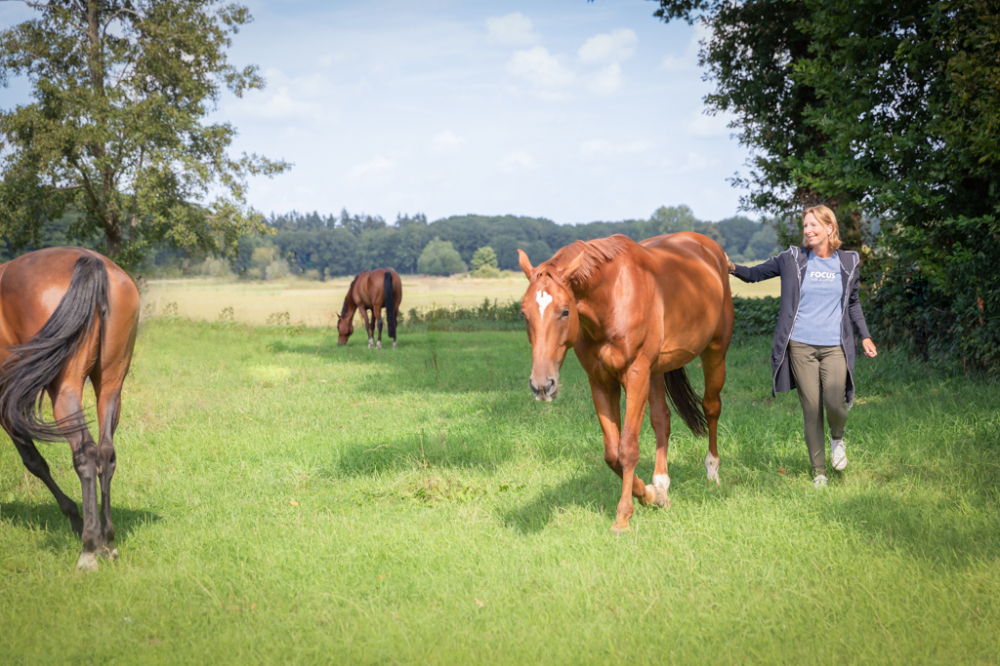 paardencoaching__AKF_zakelijke_fotografie_-2974-bewerkt-bewerkt_1.jpg